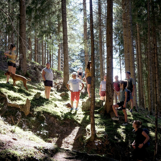 Gruppe von Personen im Wald beim Wandern