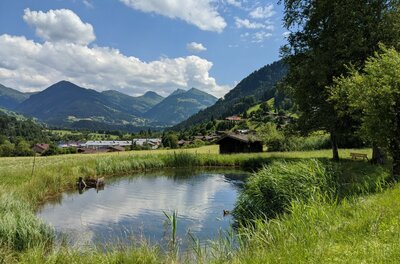 Kleiner Teich auf einer grünen Wiese vor einer Bergkulisse mit bewaldeten Hängen und blauem Himmel.