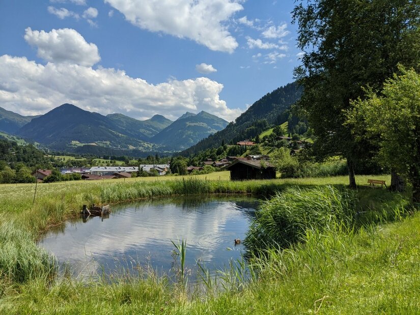 Kleiner Teich auf einer grünen Wiese vor einer Bergkulisse mit bewaldeten Hängen und blauem Himmel.