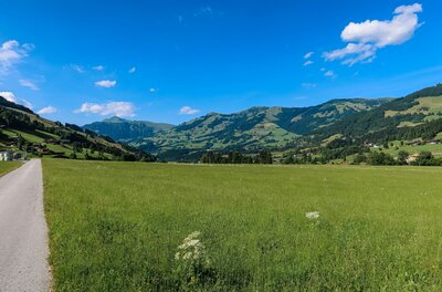 Asphaltierter Weg führt an einer grünen Wiese vorbei auf bewaldete Berge unter blauem Himmel zu.
