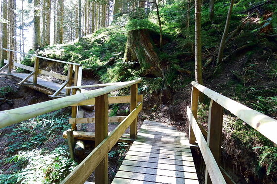Ein hölzerner Wandersteg mit Geländer führt durch einen dichten Nadelwald an einem Hang entlang.