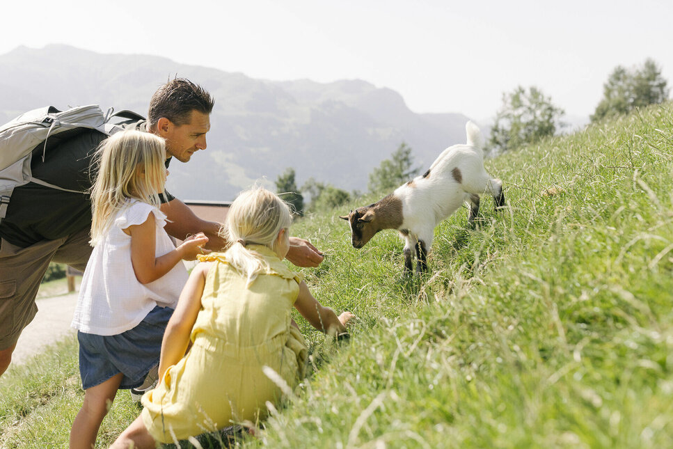 Wildpark Aurach in Kitzbühel
