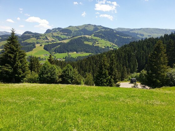 Grüne Wiese im Vordergrund mit Blick auf bewaldete Berge und Hügel unter blauem Himmel.
