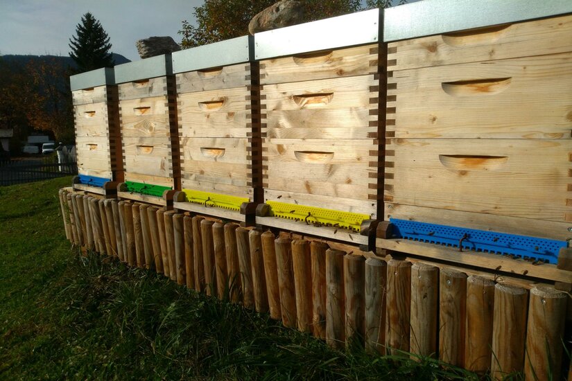 Stefan Schober Bienenstöcke aus Holz stehen auf einer Wiese. Die Stöcke sind bunt gekennzeichnet und in einer Reihe angeordnet.