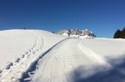 Loipe Bichlach im Winter Präparierte Langlaufloipe und Fußspuren im Schnee vor einem Gebirgsmassiv unter blauem Himmel.