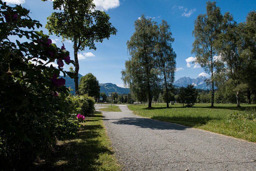 Asphaltierter Weg zwischen Wiesen und Bäumen mit Blick auf Berge im Hintergrund.