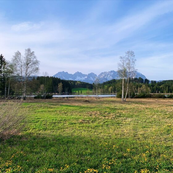 Alpenpanorama mit See Wiese mit See und Wald im Vordergrund vor einem schroffen, teilweise schneebedeckten Gebirgsmassiv unter blauem Himmel.