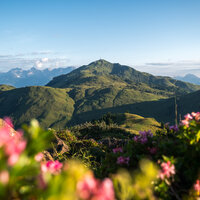 LocalHeroes Südberge in Kitzbühel