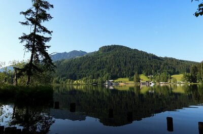 Blick über einen ruhigen See auf bewaldete Berge unter blauem Himmel mit Spiegelung im Wasser.