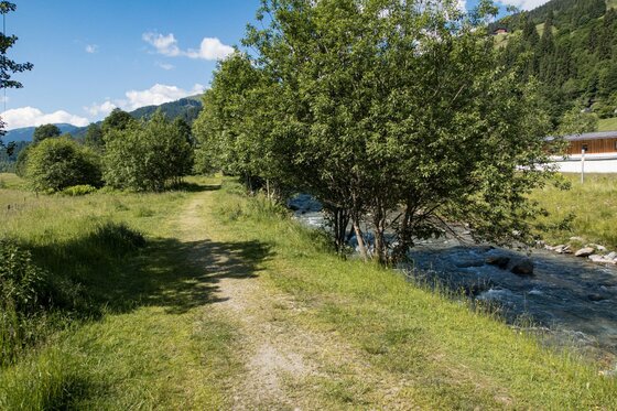 Wanderweg am Flusslauf Ein schmaler Schotterweg führt entlang eines kleinen Flusses durch eine grüne Wiese mit Bäumen.