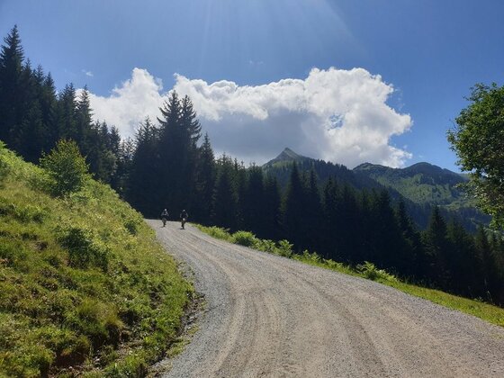 Mountainbiker am Brechhornhaus Zwei Mountainbiker auf einem breiten Schotterweg vor bewaldeten Bergen und blauem Himmel.