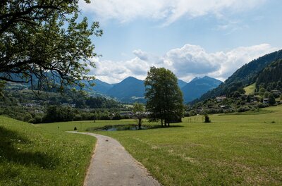 Ein asphaltierter Wanderweg führt durch grüne Wiesen auf bewaldete Berge unter bewölktem Himmel zu.