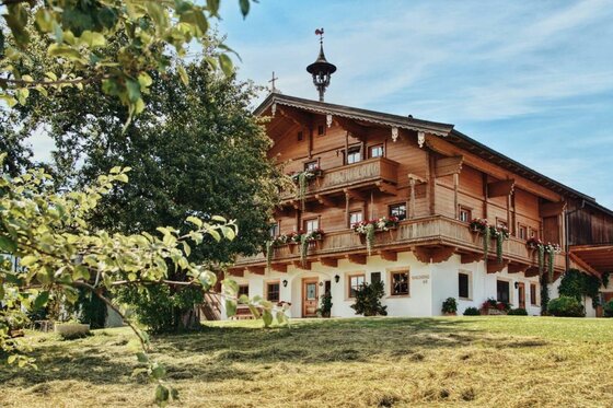 Traditionelles Holzhaus mit Blumenbalkonen auf einer Wiese unter blauem Himmel.