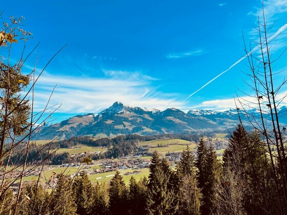 Aussicht vom Höhenweg Reith Blick über Nadelbäume auf ein Tal mit Dorf und schneebedeckten Berggipfeln unter blauem Himmel.