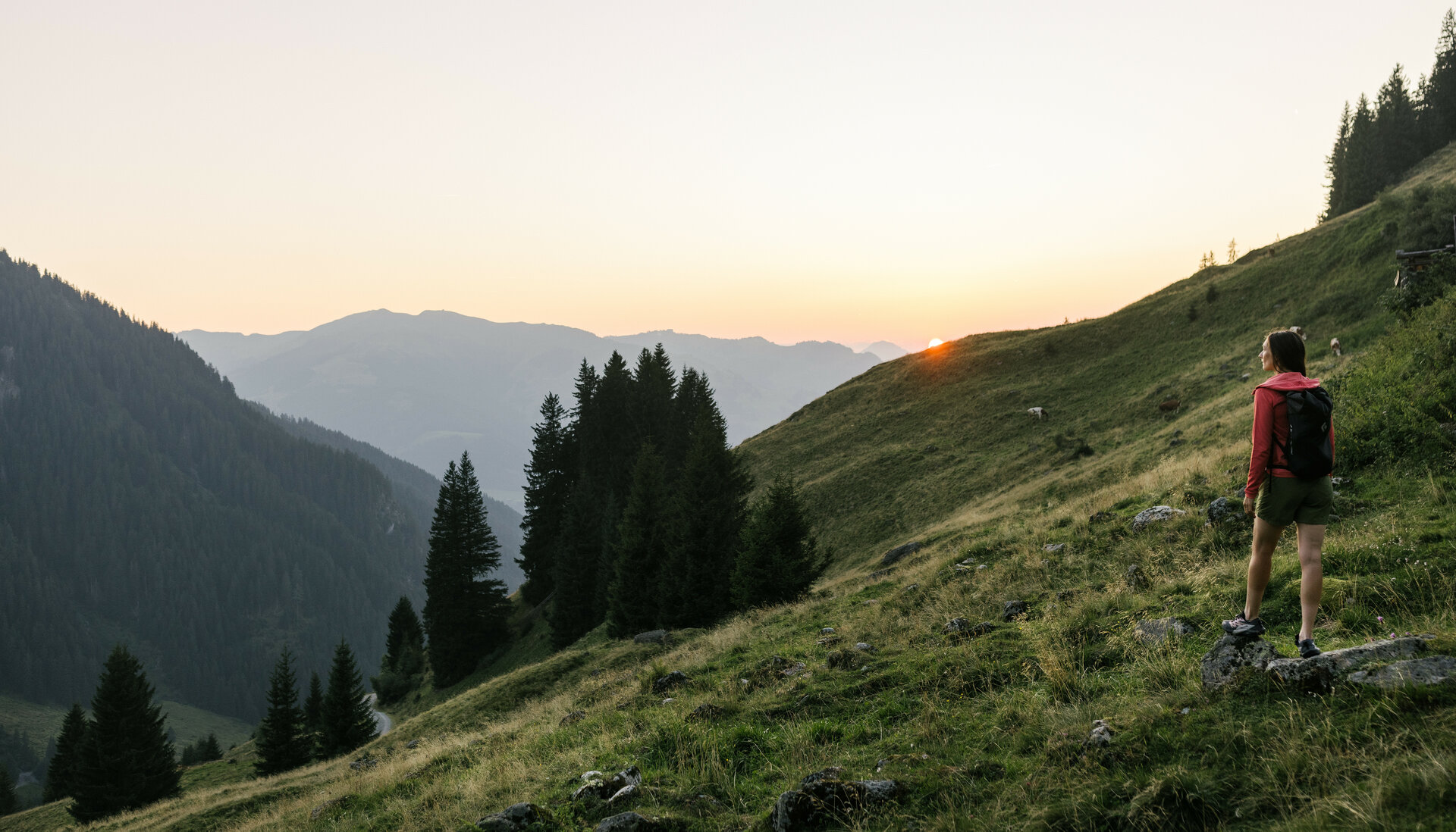 Wandern Südberge