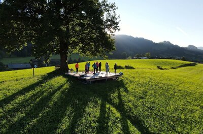 Eine Gruppe von Menschen steht auf einer Plattform unter einem großen Baum auf einer grünen Wiese. Im Hintergrund sind sanfte Hügel und ein klarer Himmel zu sehen.