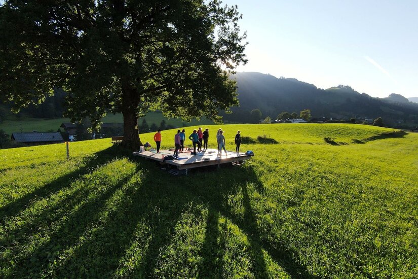 Eine Gruppe von Menschen steht auf einer Plattform unter einem großen Baum auf einer grünen Wiese. Im Hintergrund sind sanfte Hügel und ein klarer Himmel zu sehen.