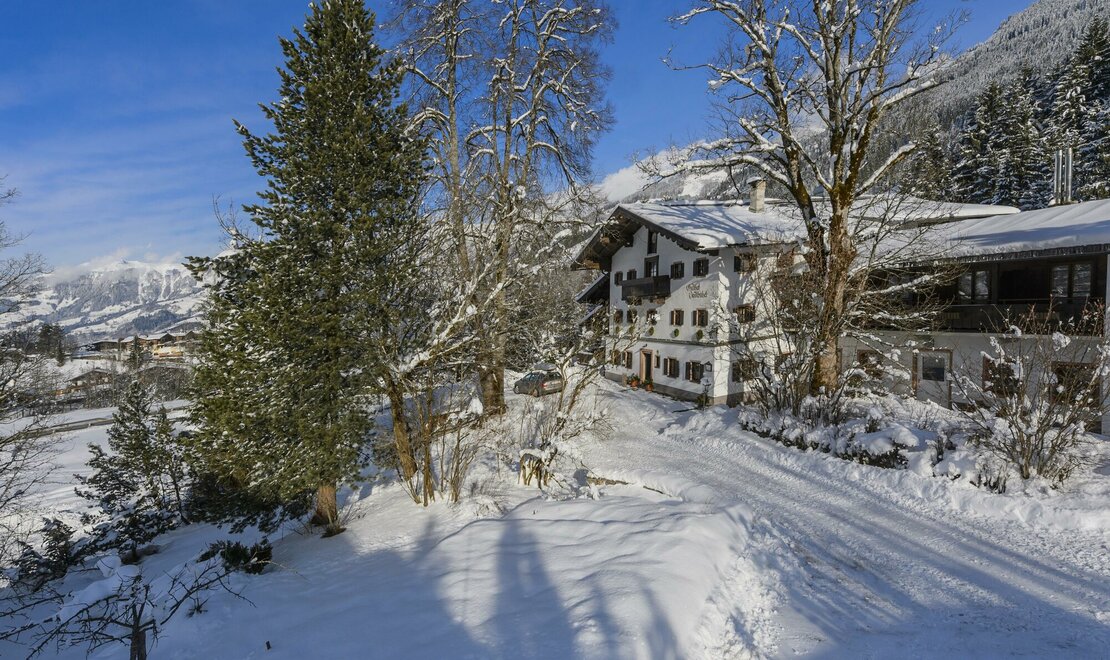 Winter