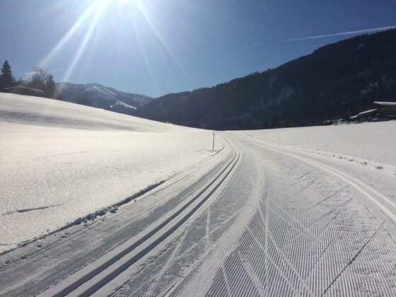Lisa Hauser Loipe Präparierte Langlaufloipe im Schnee unter blauem Himmel mit Sonneneinstrahlung.