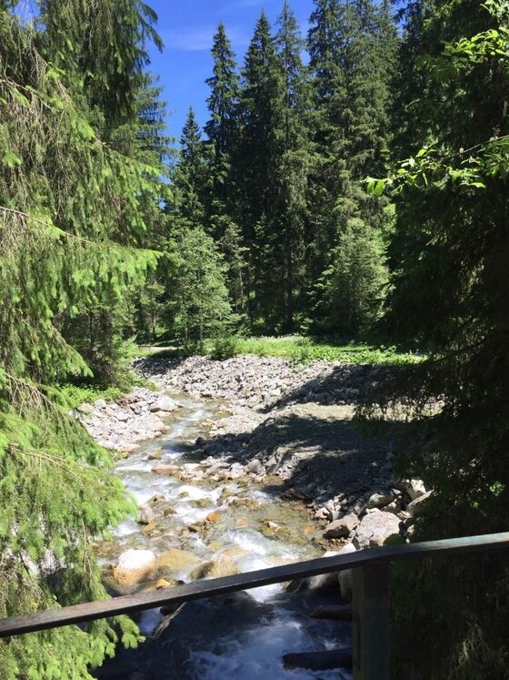 Gebirgsbach am Saukaser-Pengelstein Ein Gebirgsbach fließt durch ein steiniges Bett, umgeben von dichten Nadelbäumen unter blauem Himmel.