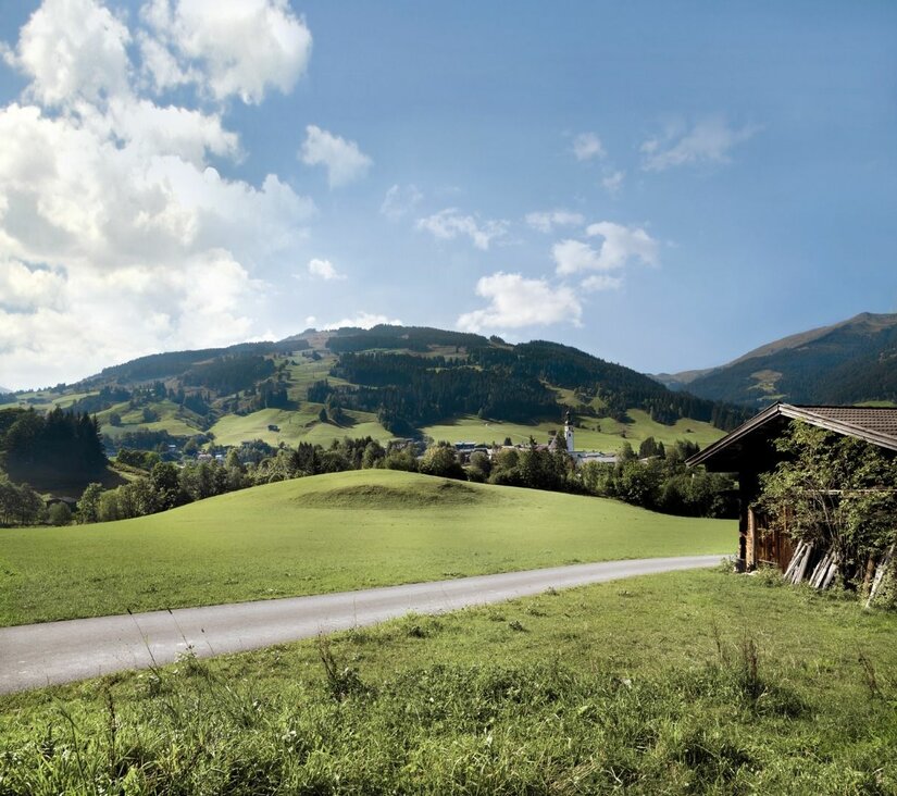 Asphaltierter Weg führt durch grüne Wiesen auf ein Bergdorf mit bewaldeten Hängen zu.