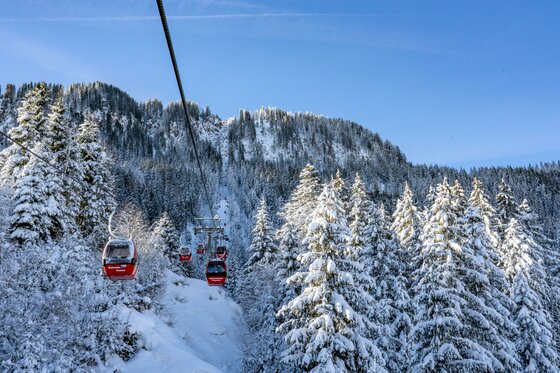 Gondelbahn am Hahnenkamm im Winter Rote Gondeln einer Seilbahn schweben über verschneiten Tannenbäumen vor einem bewaldeten Berghang.