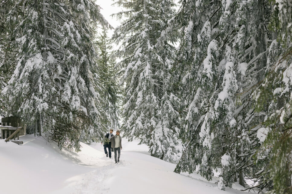 Familienmitglieder erkunden einen verschneiten Waldweg, während die Bäume mit frischem Schnee bedeckt sind und die Stimmung friedlich ist.