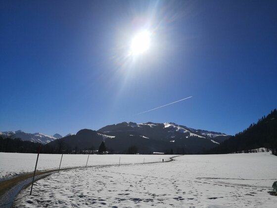 Winterlandschaft bei Hennleiten Verschneites Feld mit einem geräumten Weg vor einer Bergkulisse unter blauem Himmel mit strahlender Sonne.