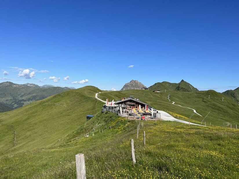 Sommer_Panorama_q.jpeg