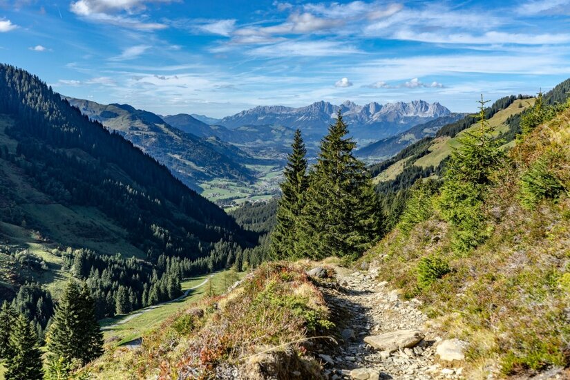Wanderweg in den Kitzbüheler Südbergen Schmaler Wanderweg am Berghang mit Blick auf ein bewaldetes Tal und ferne Gebirgszüge unter blauem Himmel.