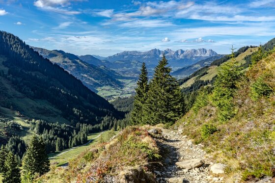 Schmaler Wanderweg am Berghang mit Blick auf ein bewaldetes Tal und ferne Gebirgszüge unter blauem Himmel.