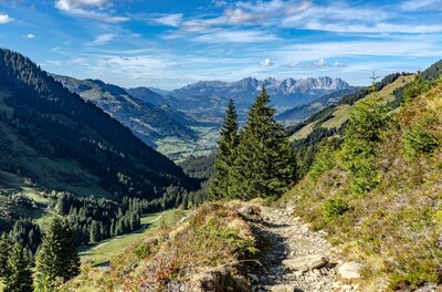 Schmaler Wanderweg am Berghang mit Blick auf ein bewaldetes Tal und ferne Gebirgszüge unter blauem Himmel.