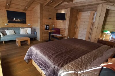 Ein gemütliches Zimmer mit Holzwänden und einem großen Bett. Die Einrichtung ist modern und einladend, mit einem Sofa und einem Fernseher.