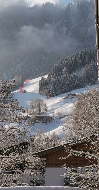Streif- Abfahrt (Hahnenkamm) Blick