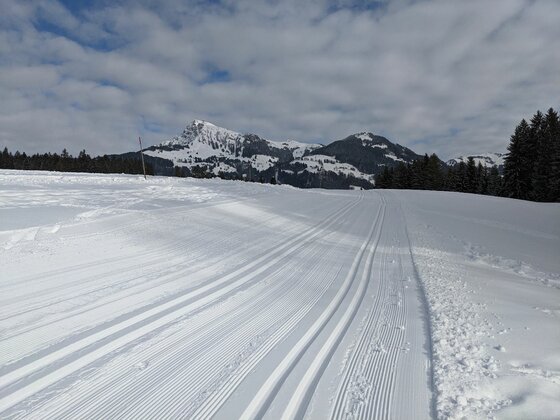 Markus Gandler Loipe im Winter Präparierte Langlaufloipe im Schnee mit Blick auf verschneite Berggipfel unter bewölktem Himmel.