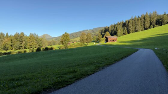 Asphaltierter Weg führt durch grüne Wiesen an einer Holzhütte vorbei zu einem Nadelwald unter blauem Himmel.