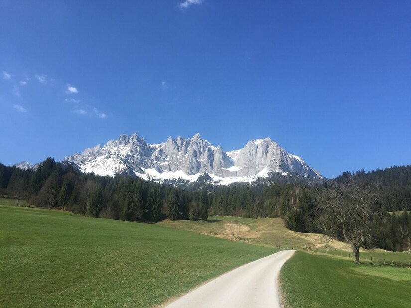 Blick auf das Kaisergebirge Blick über eine grüne Wiese und einen Schotterweg auf ein schneebedecktes Felsmassiv unter blauem Himmel.