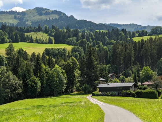 Asphaltierter Weg führt an einem Haus vorbei durch grüne Wiesen auf bewaldete Berge zu.
