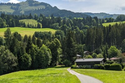 Wanderweg am Sonnberg Asphaltierter Weg führt an einem Haus vorbei durch grüne Wiesen auf bewaldete Berge zu.