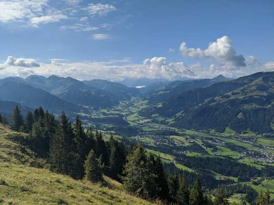 Blick von einem Grashang mit Nadelbäumen über ein weites Tal mit Siedlungen und bewaldeten Bergen unter blauem Himmel.