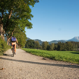 Eine Person fährt mit dem Fahrrad auf einem Kiesweg, umgeben von Bäumen und einer malerischen Berglandschaft.