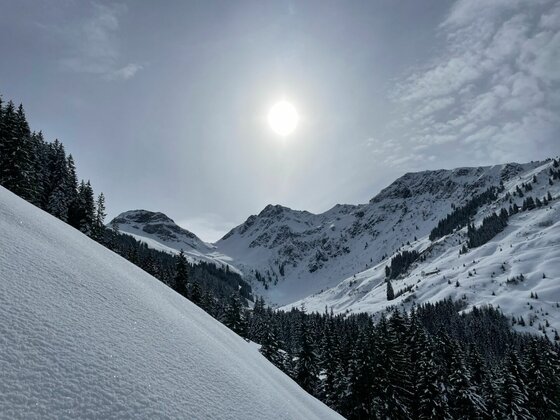 Verschneite Gebirgslandschaft mit Nadelwald und sonnigem Himmel über der Kelchalm.