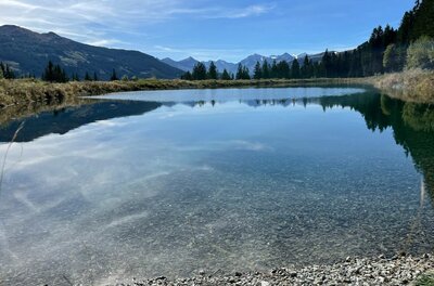 Ein klarer Bergsee mit Kiesufer vor einem Panorama aus Nadelbäumen und fernen Berggipfeln unter blauem Himmel.