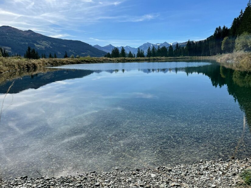 Ein klarer Bergsee mit Kiesufer vor einem Panorama aus Nadelbäumen und fernen Berggipfeln unter blauem Himmel.