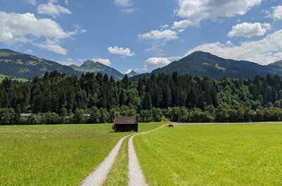 Schotterweg führt über eine grüne Wiese zu einer Holzhütte vor bewaldeten Bergen unter blauem Himmel.