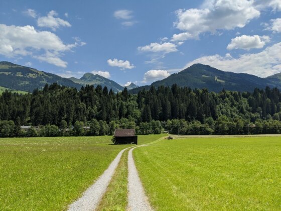 Wanderweg bei Pürsting Schotterweg führt über eine grüne Wiese zu einer Holzhütte vor bewaldeten Bergen unter blauem Himmel.