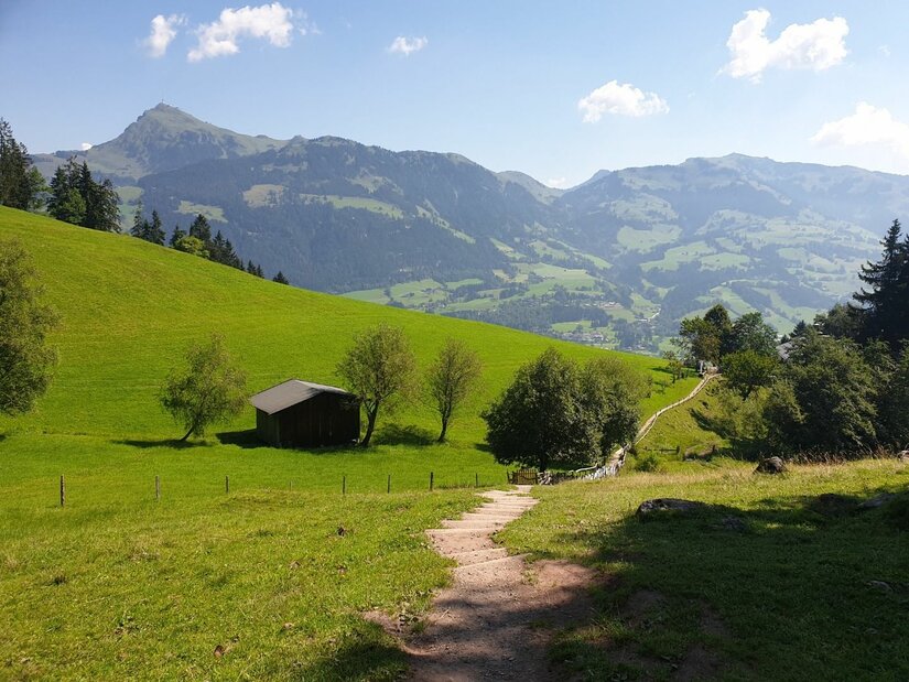 Wanderweg bei der Seidlalm Ein schmaler Wanderweg führt über eine grüne Almwiese hinunter zu einer Holzhütte vor einem Bergpanorama.