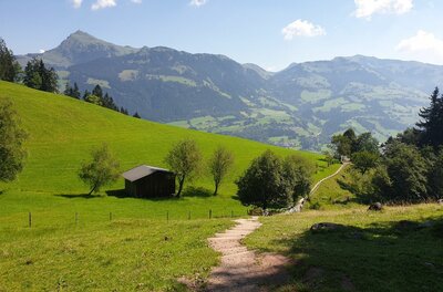 Ein schmaler Wanderweg führt über eine grüne Almwiese hinunter zu einer Holzhütte vor einem Bergpanorama.