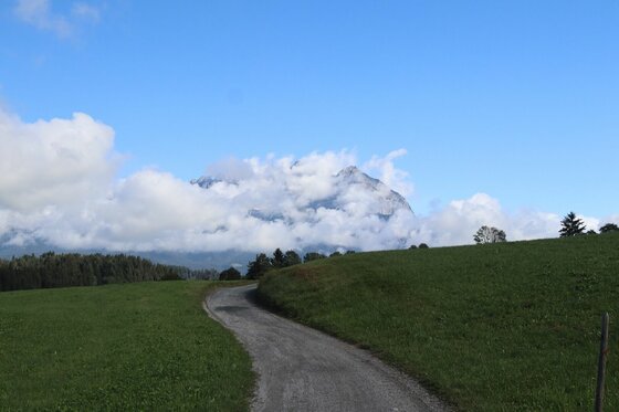 Ein geschotterter Weg führt durch grüne Wiesen auf ein wolkenverhangenes Bergmassiv zu.