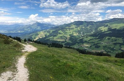 Schmaler Schotterweg führt über eine grüne Almwiese mit Blick auf bewaldete Berge unter bewölktem Himmel.